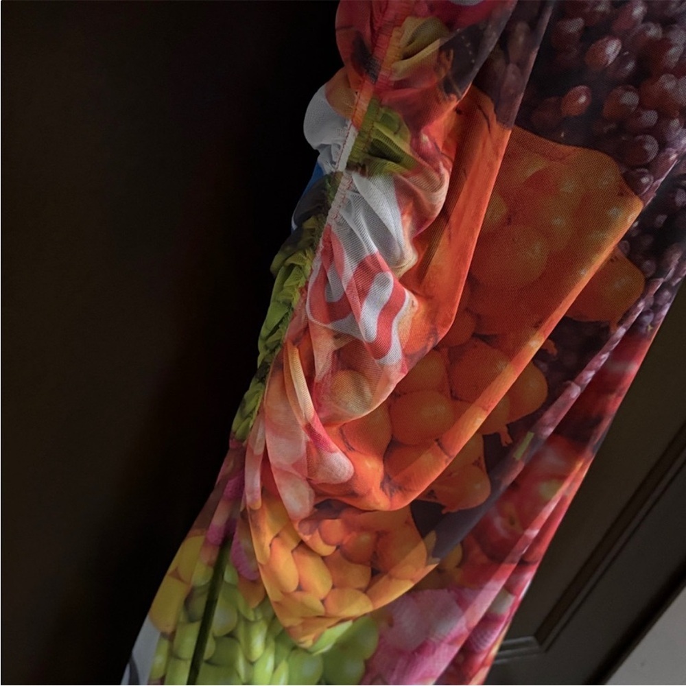 NWT Zara Fruit Stand Mesh Midi /Maxi
Dress Size Small - Picture 11 of 12